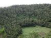 019-Looking-into-an-old-volcano-crater-at-Curepipe